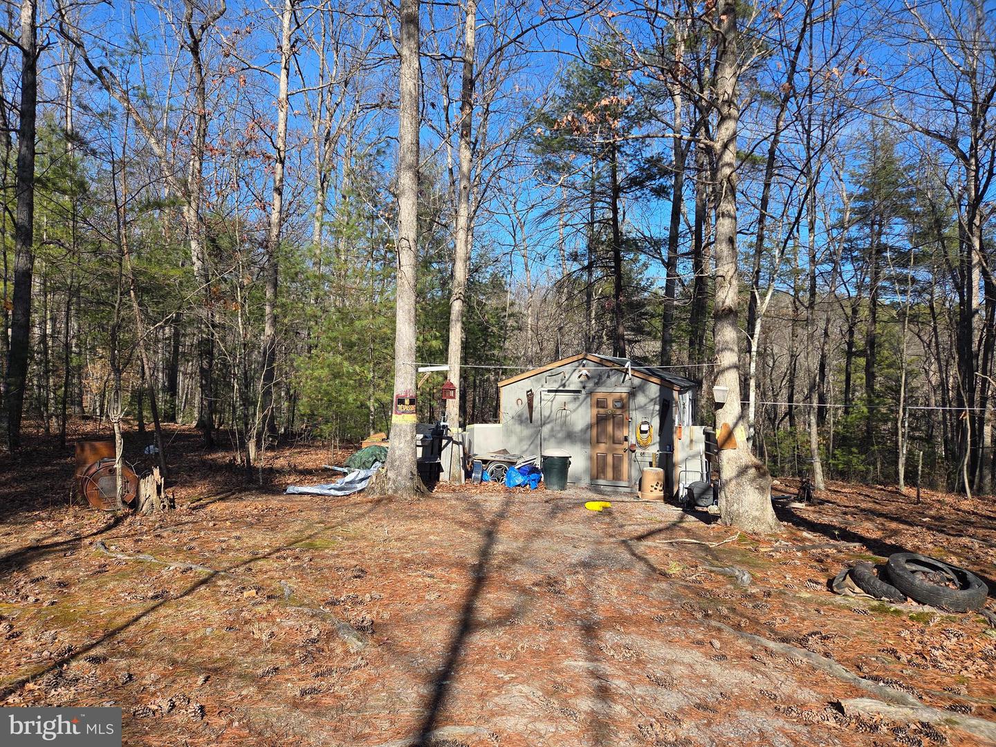 2034 JEROME RD, MOUNT JACKSON, Virginia 22842, ,Land,For sale,2034 JEROME RD,VASH2013542 MLS # VASH2013542