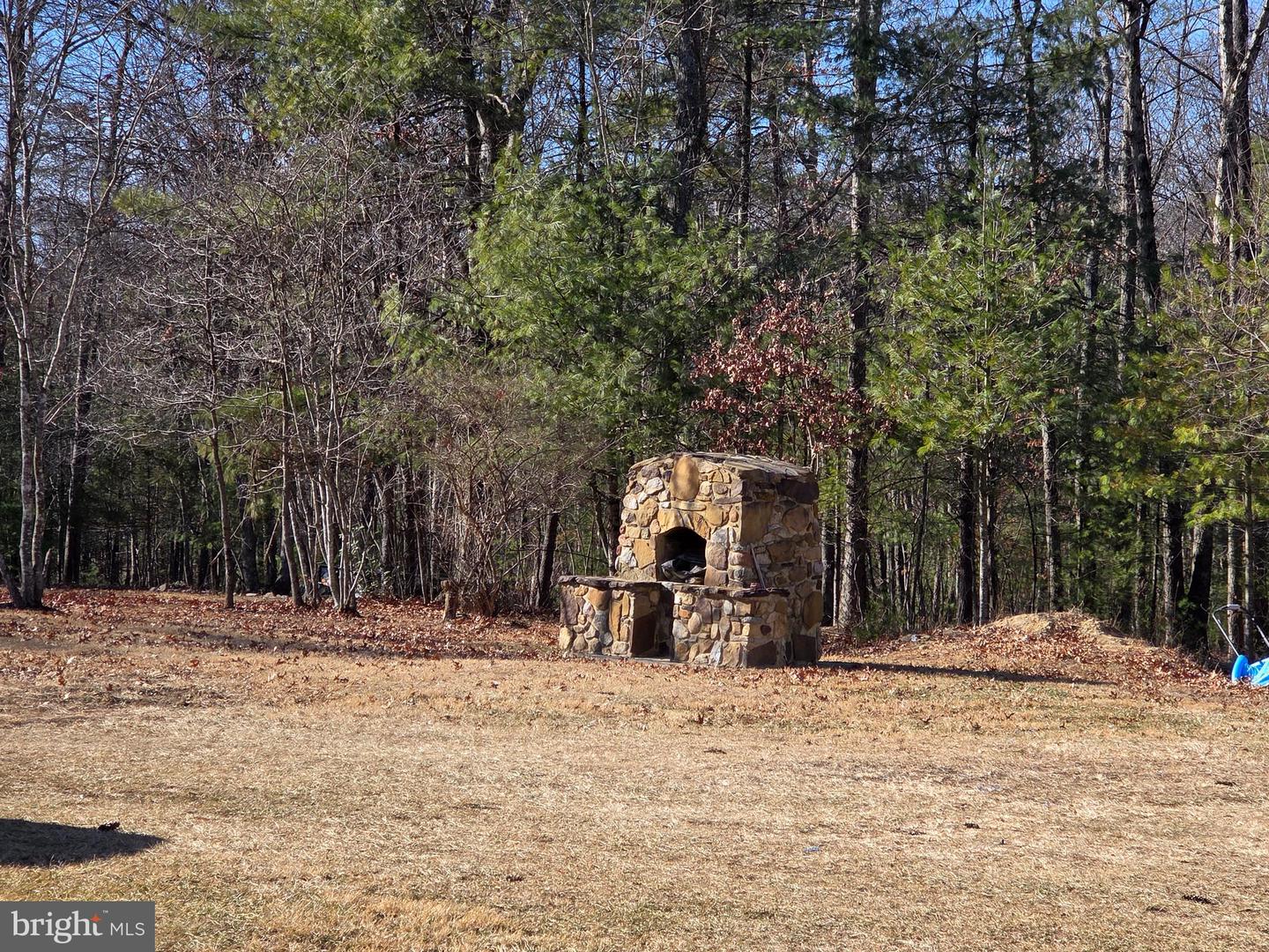 2034 JEROME RD, MOUNT JACKSON, Virginia 22842, ,Land,For sale,2034 JEROME RD,VASH2013542 MLS # VASH2013542