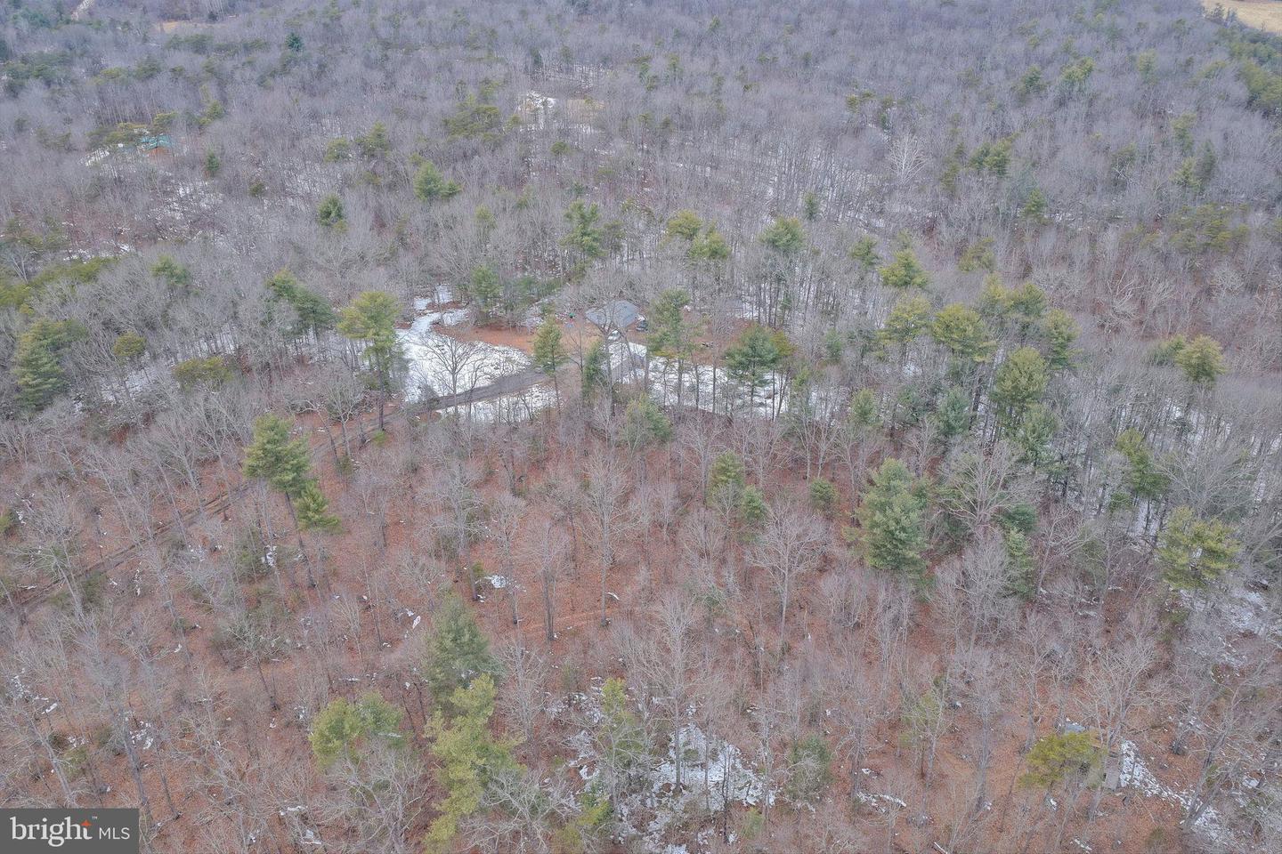 2034 JEROME RD, MOUNT JACKSON, Virginia 22842, ,Land,For sale,2034 JEROME RD,VASH2013542 MLS # VASH2013542 2034 JEROME RD, MOUNT JACKSON, Virginia 22842, ,Land,For sale,2034 JEROME RD,VASH2013542 MLS # VASH2013542