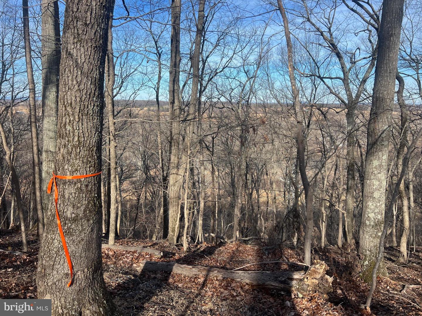 LOT 49 & LOT 50 HACKBERRY LN, BLUEMONT, Virginia 20135, ,Land,For sale,LOT 49 & LOT 50 HACKBERRY LN,VACL2006496 MLS # VACL2006496