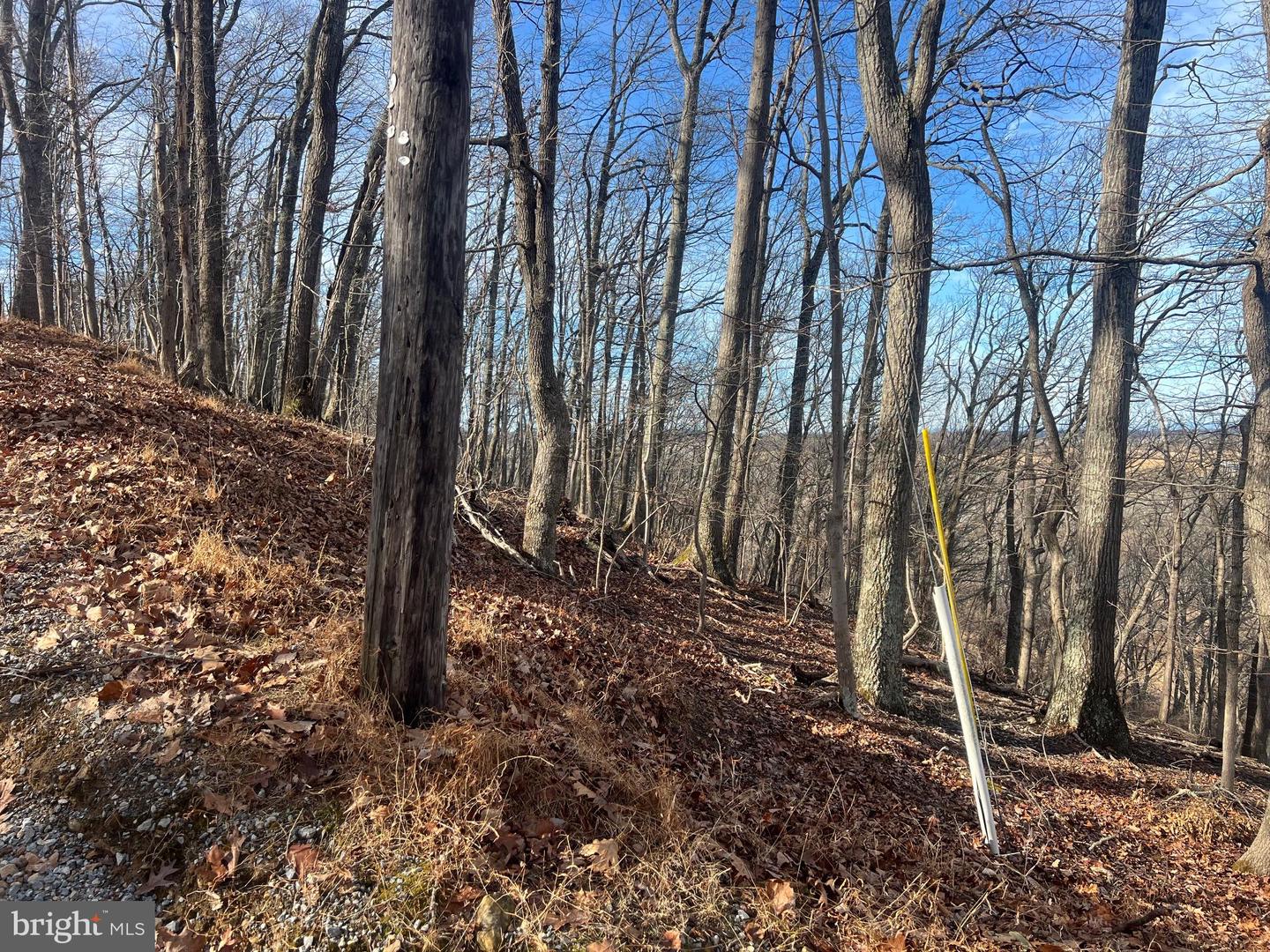 LOT 49 & LOT 50 HACKBERRY LN, BLUEMONT, Virginia 20135, ,Land,For sale,LOT 49 & LOT 50 HACKBERRY LN,VACL2006496 MLS # VACL2006496