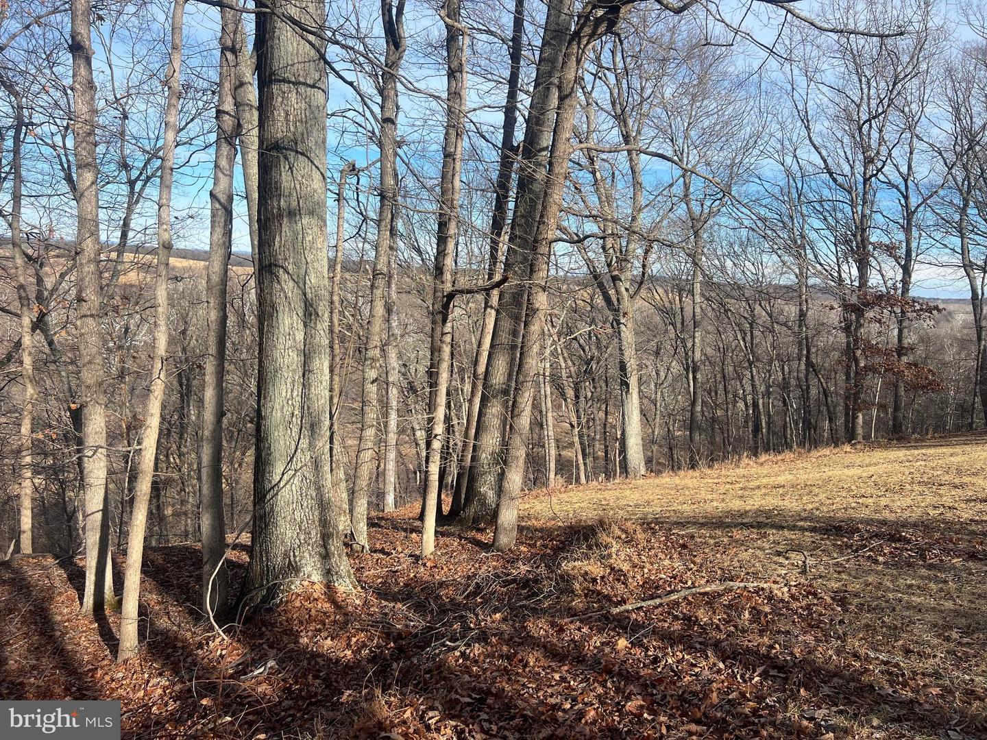 LOT 49 & LOT 50 HACKBERRY LN, BLUEMONT, Virginia 20135, ,Land,For sale,LOT 49 & LOT 50 HACKBERRY LN,VACL2006496 MLS # VACL2006496