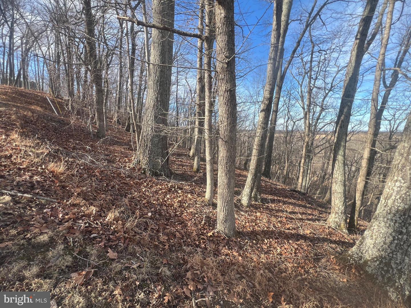 LOT 49 & LOT 50 HACKBERRY LN, BLUEMONT, Virginia 20135, ,Land,For sale,LOT 49 & LOT 50 HACKBERRY LN,VACL2006496 MLS # VACL2006496