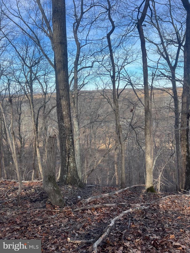 LOT 49 & LOT 50 HACKBERRY LN, BLUEMONT, Virginia 20135, ,Land,For sale,LOT 49 & LOT 50 HACKBERRY LN,VACL2006496 MLS # VACL2006496