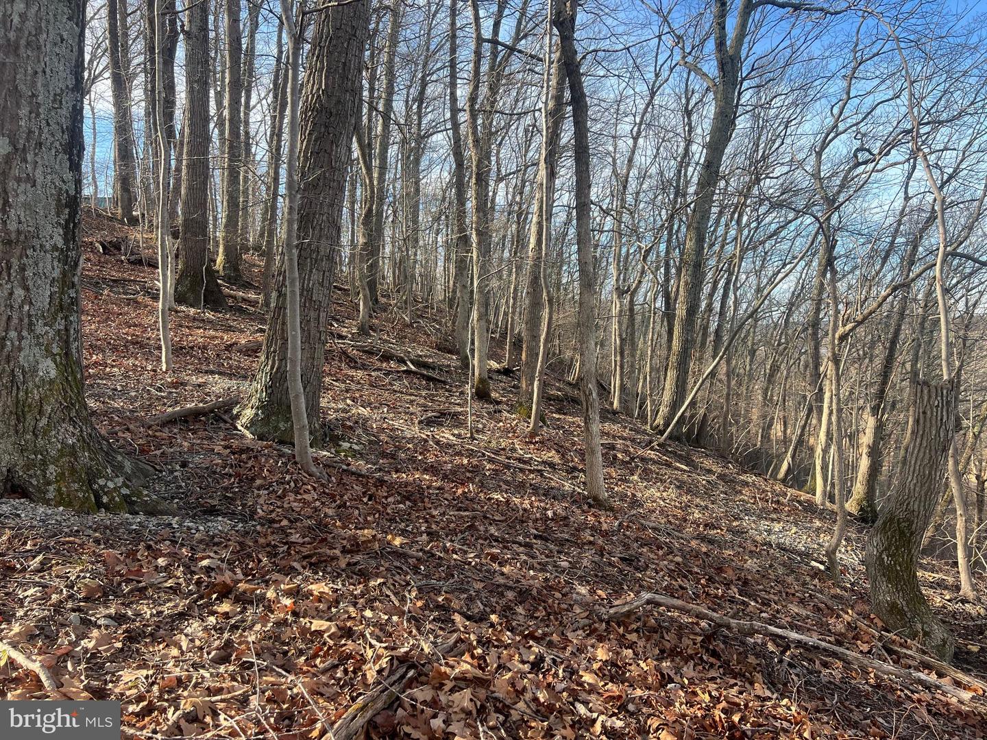 LOT 49 & LOT 50 HACKBERRY LN, BLUEMONT, Virginia 20135, ,Land,For sale,LOT 49 & LOT 50 HACKBERRY LN,VACL2006496 MLS # VACL2006496