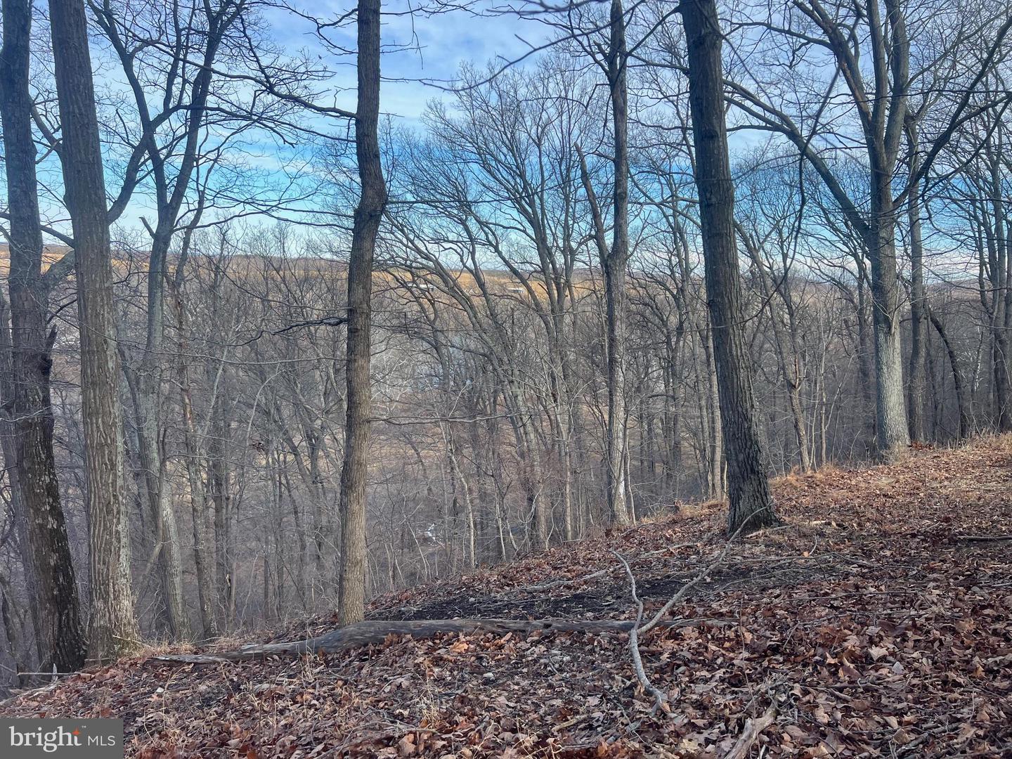 LOT 49 & LOT 50 HACKBERRY LN, BLUEMONT, Virginia 20135, ,Land,For sale,LOT 49 & LOT 50 HACKBERRY LN,VACL2006496 MLS # VACL2006496