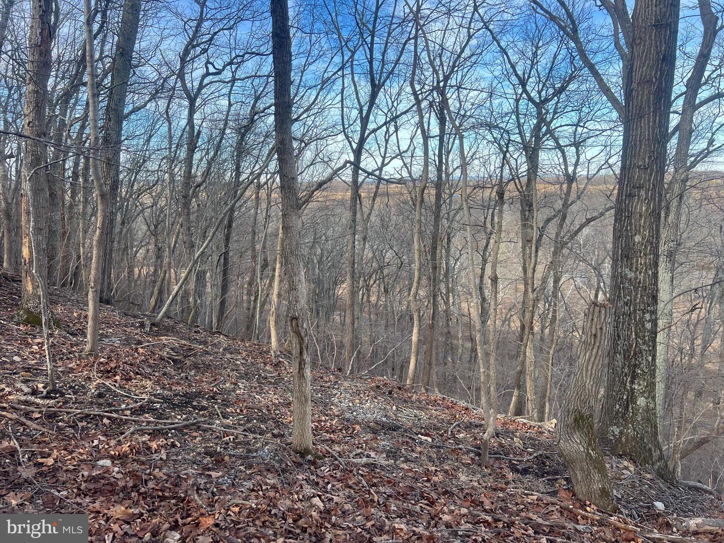 LOT 49 & LOT 50 HACKBERRY LN, BLUEMONT, Virginia 20135, ,Land,For sale,LOT 49 & LOT 50 HACKBERRY LN,VACL2006496 MLS # VACL2006496
