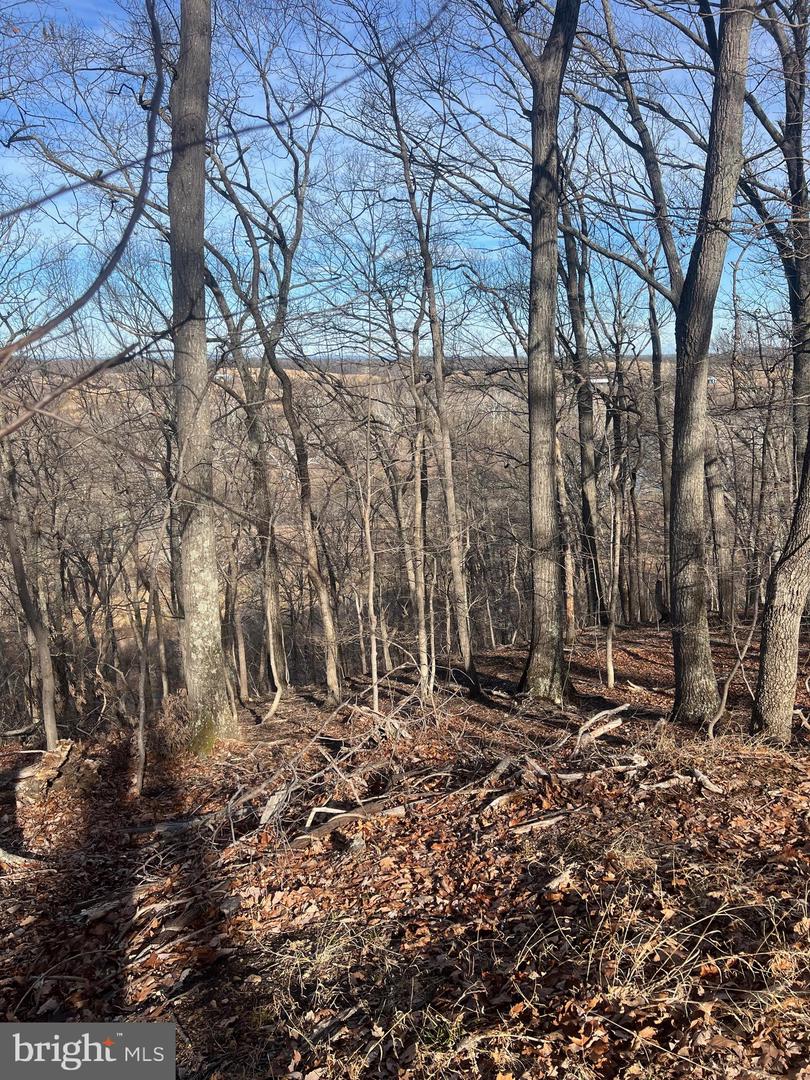 LOT 49 & LOT 50 HACKBERRY LN, BLUEMONT, Virginia 20135, ,Land,For sale,LOT 49 & LOT 50 HACKBERRY LN,VACL2006496 MLS # VACL2006496