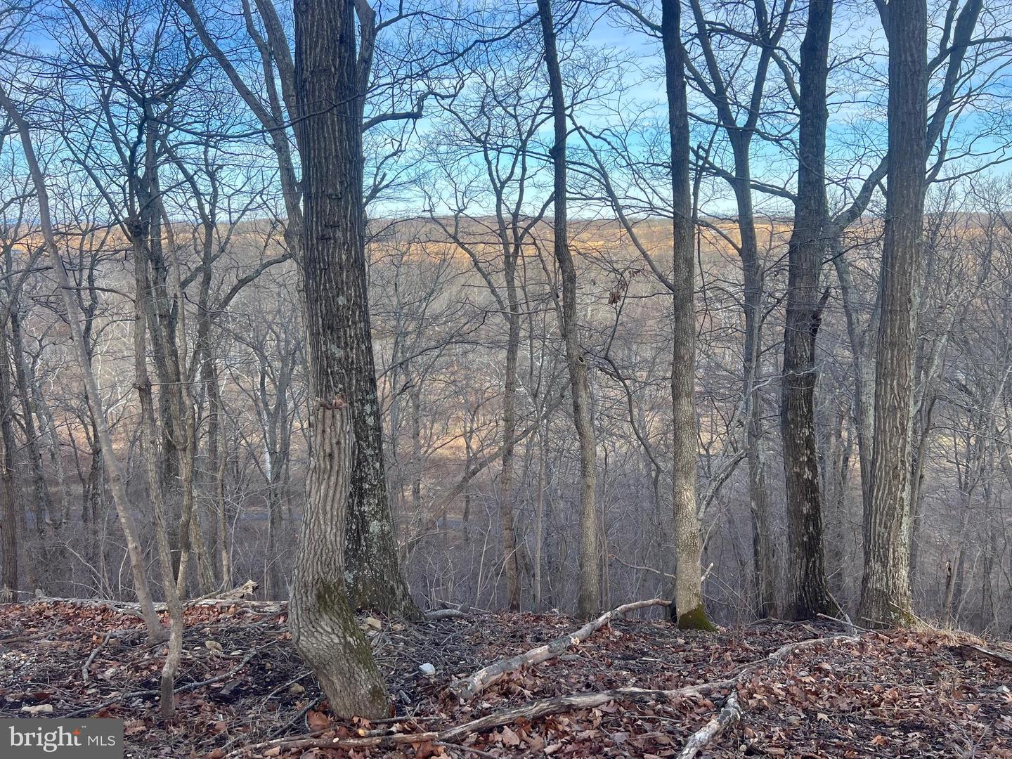 LOT 49 & LOT 50 HACKBERRY LN, BLUEMONT, Virginia 20135, ,Land,For sale,LOT 49 & LOT 50 HACKBERRY LN,VACL2006496 MLS # VACL2006496