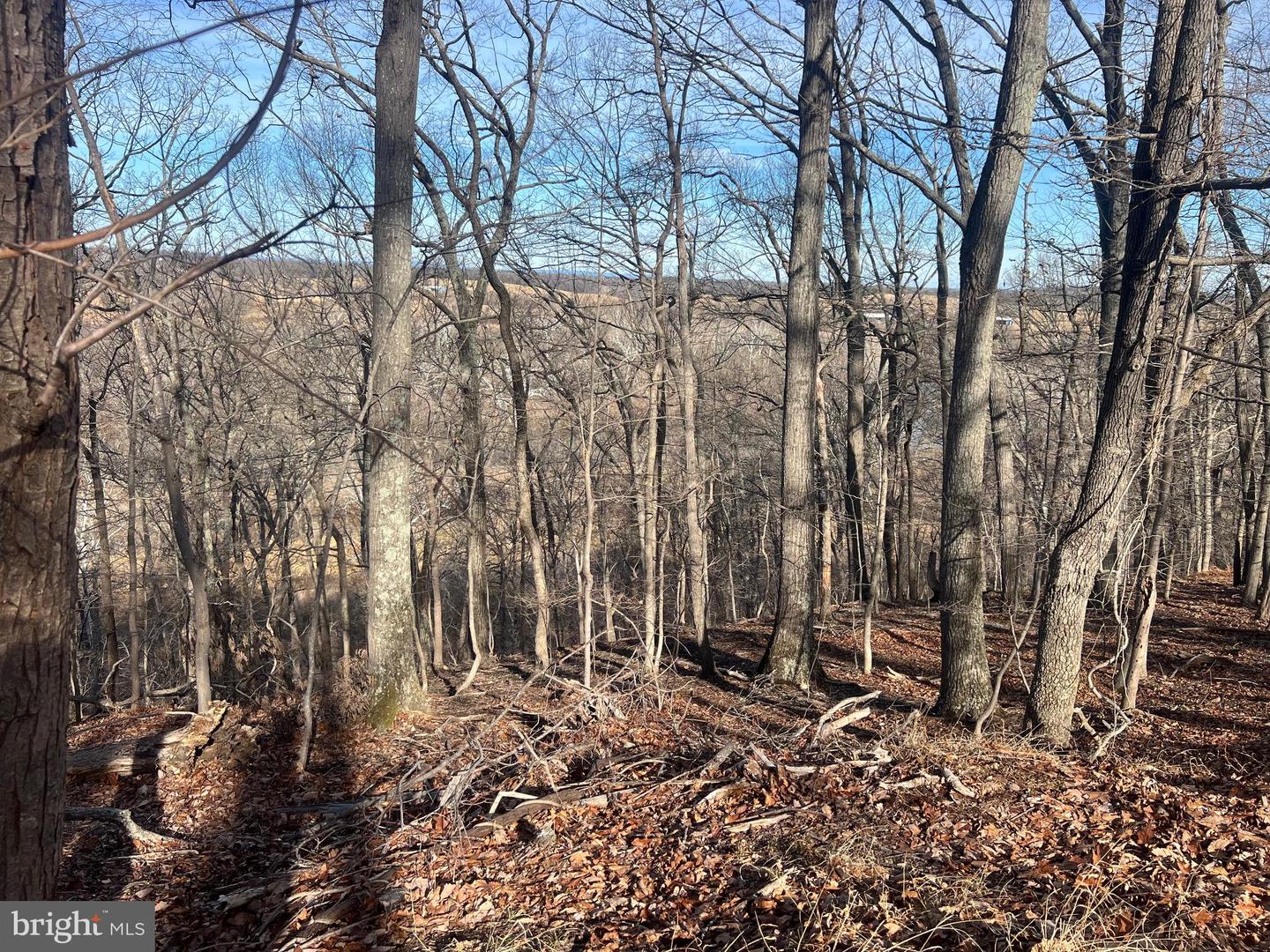 LOT 49 & LOT 50 HACKBERRY LN, BLUEMONT, Virginia 20135, ,Land,For sale,LOT 49 & LOT 50 HACKBERRY LN,VACL2006496 MLS # VACL2006496