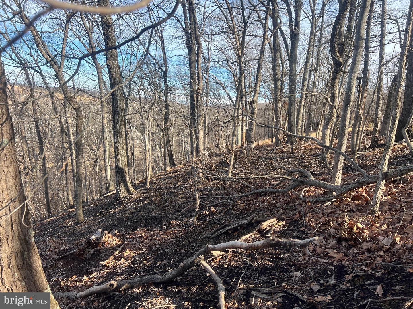 LOT 49 & LOT 50 HACKBERRY LN, BLUEMONT, Virginia 20135, ,Land,For sale,LOT 49 & LOT 50 HACKBERRY LN,VACL2006496 MLS # VACL2006496