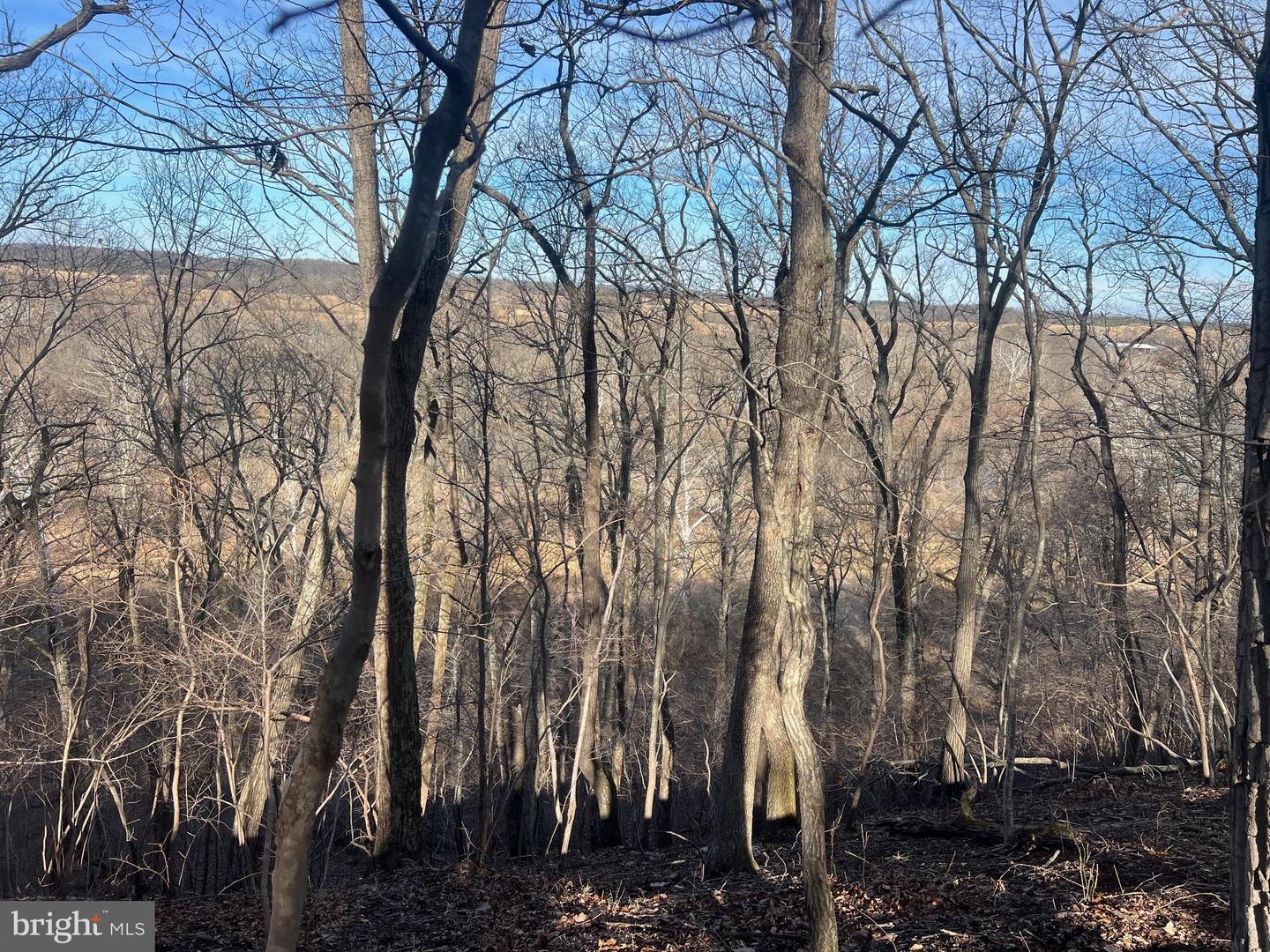 LOT 49 & LOT 50 HACKBERRY LN, BLUEMONT, Virginia 20135, ,Land,For sale,LOT 49 & LOT 50 HACKBERRY LN,VACL2006496 MLS # VACL2006496