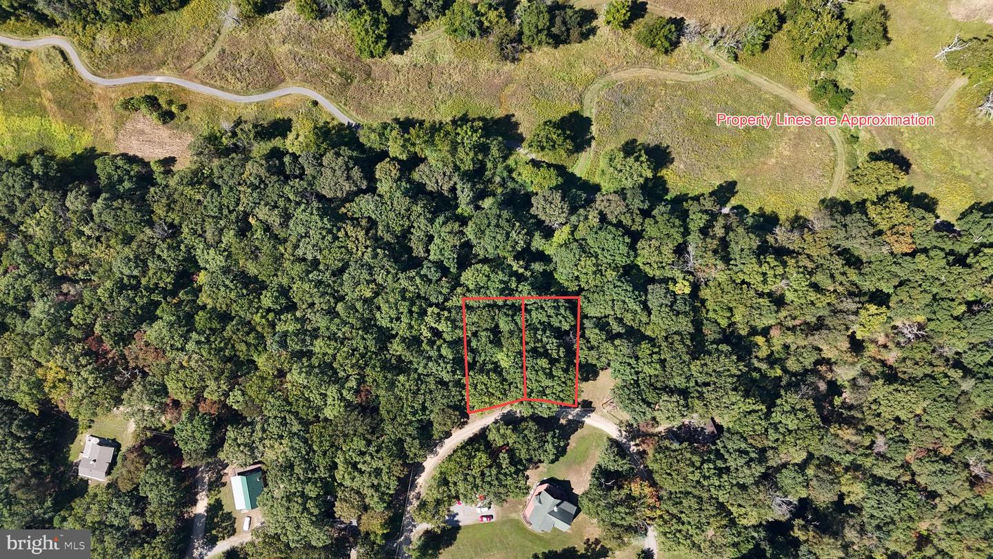 LOT 49 & LOT 50 HACKBERRY LN, BLUEMONT, Virginia 20135, ,Land,For sale,LOT 49 & LOT 50 HACKBERRY LN,VACL2006496 MLS # VACL2006496