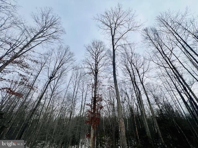 116 WAYPOINTE CT, FREDERICKSBURG, Virginia 22406, 4 Bedrooms Bedrooms, ,3 BathroomsBathrooms,Residential,For sale,116 WAYPOINTE CT,VAST2045152 MLS # VAST2045152