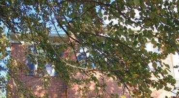 4026 NICHOLAS CT, FAIRFAX, Virginia 22033, 3 Bedrooms Bedrooms, ,3 BathroomsBathrooms,Residential,For sale,4026 NICHOLAS CT,VAFX2286996 MLS # VAFX2286996