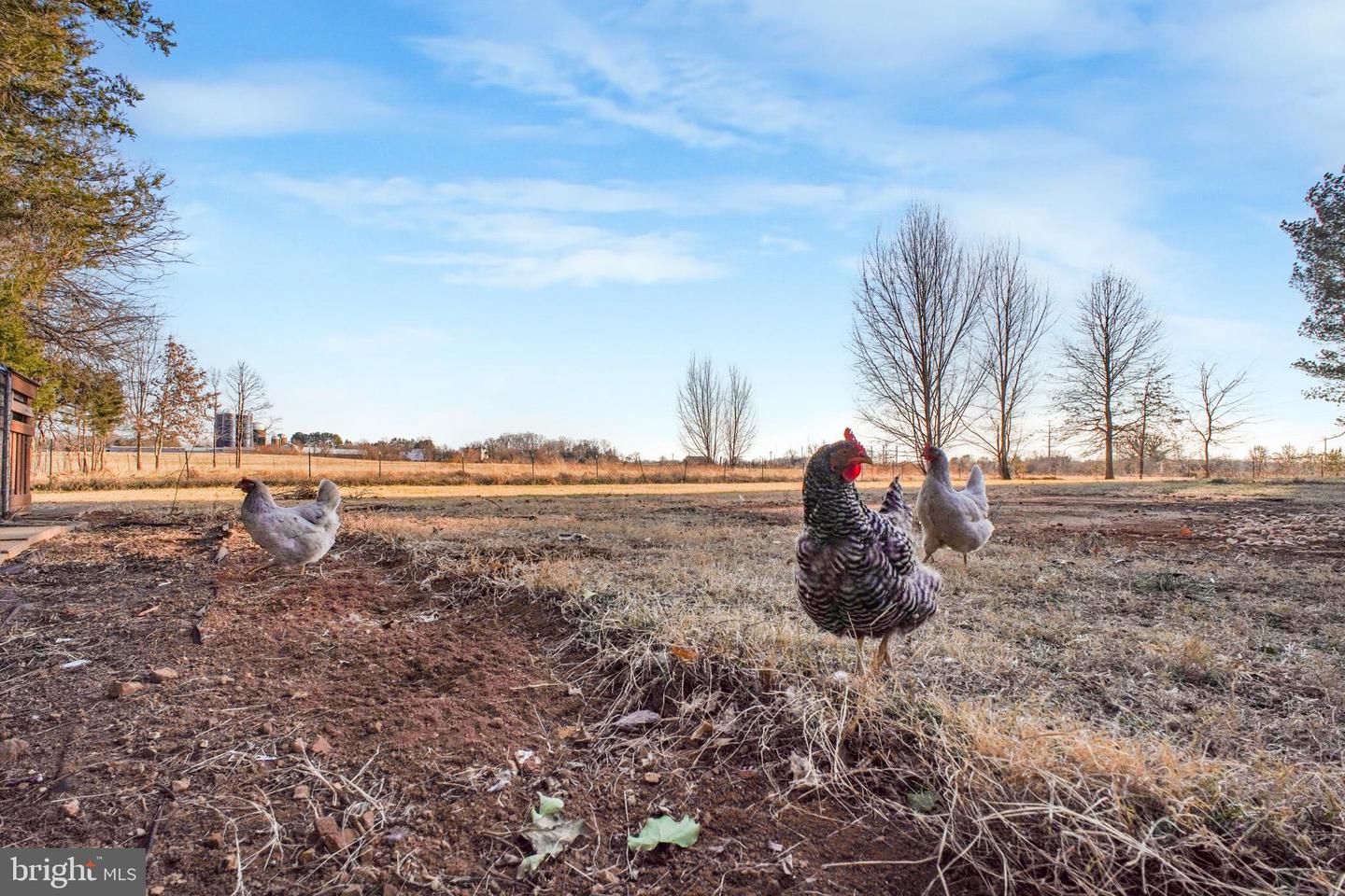 10245 ANCHOR CT, BEALETON, Virginia 22712, 4 Bedrooms Bedrooms, ,3 BathroomsBathrooms,Residential,For sale,10245 ANCHOR CT,VAFQ2020350 MLS # VAFQ2020350