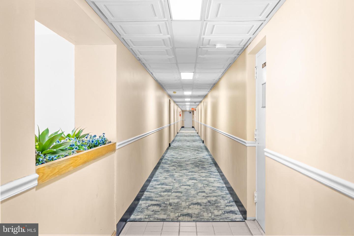 5101 8TH RD S #13, ARLINGTON, Virginia 22204, 1 Bedroom Bedrooms, ,1 BathroomBathrooms,Residential,For sale,5101 8TH RD S #13,VAAR2068334 MLS # VAAR2068334