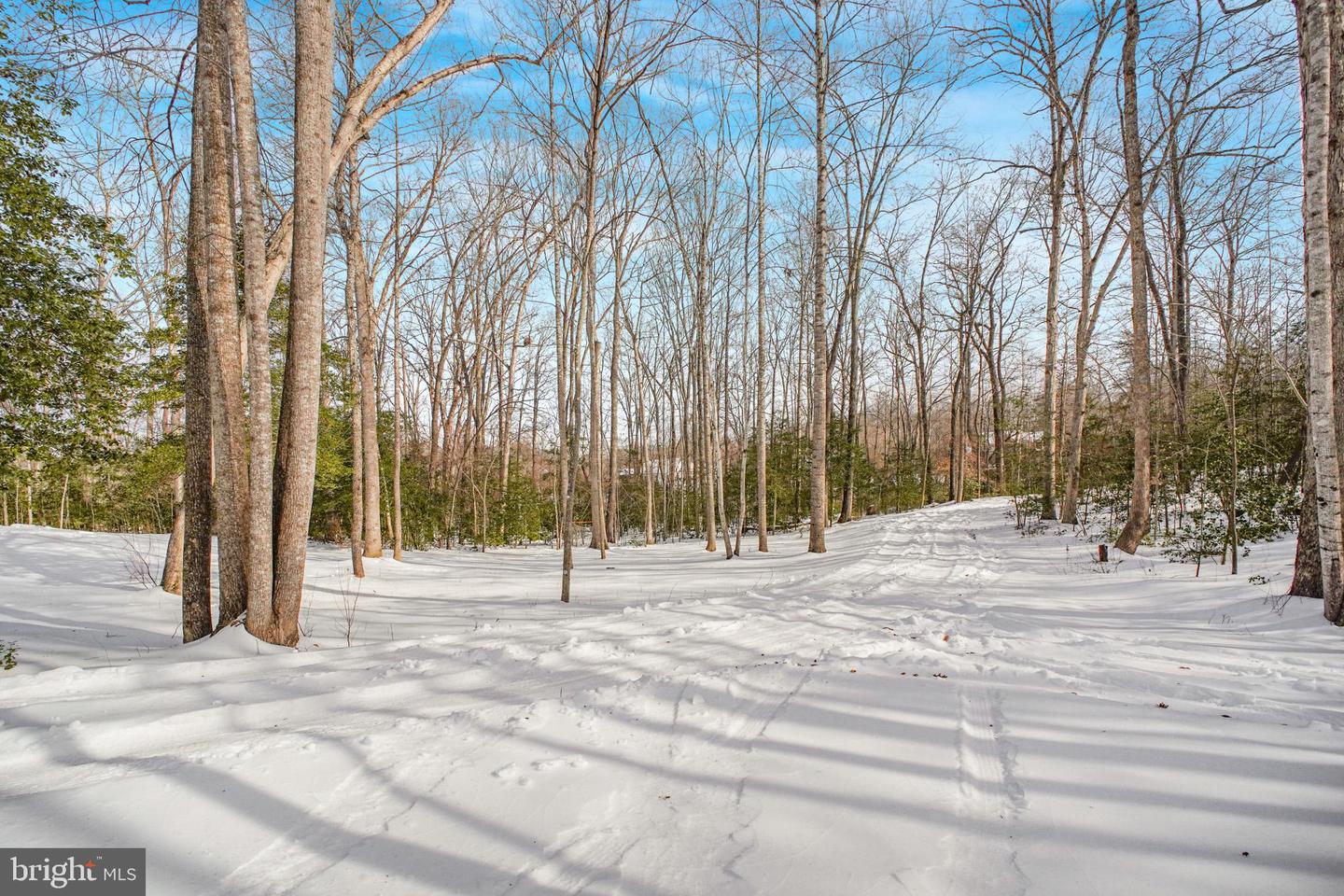 117 CHERRY HILL DR, STAFFORD, Virginia 22556, 5 Bedrooms Bedrooms, ,5 BathroomsBathrooms,Residential,For sale,117 CHERRY HILL DR,VAST2045656 MLS # VAST2045656