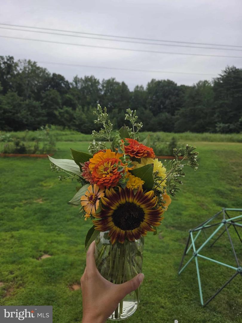 508 CRAB APPLE DR, STAFFORD, Virginia 22554, 5 Bedrooms Bedrooms, 16 Rooms Rooms,4 BathroomsBathrooms,Residential,For sale,508 CRAB APPLE DR,VAST2044982 MLS # VAST2044982