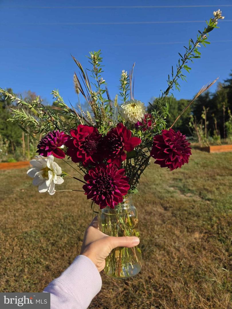 508 CRAB APPLE DR, STAFFORD, Virginia 22554, 5 Bedrooms Bedrooms, 16 Rooms Rooms,4 BathroomsBathrooms,Residential,For sale,508 CRAB APPLE DR,VAST2044982 MLS # VAST2044982