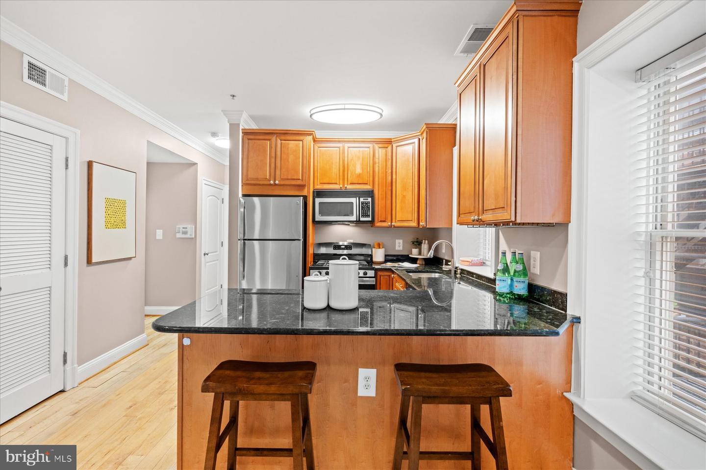 1740 18TH ST NW #203, WASHINGTON, District Of Columbia 20009, 1 Bedroom Bedrooms, ,1 BathroomBathrooms,Residential,For sale,1740 18TH ST NW #203,DCDC2244062 MLS # DCDC2244062