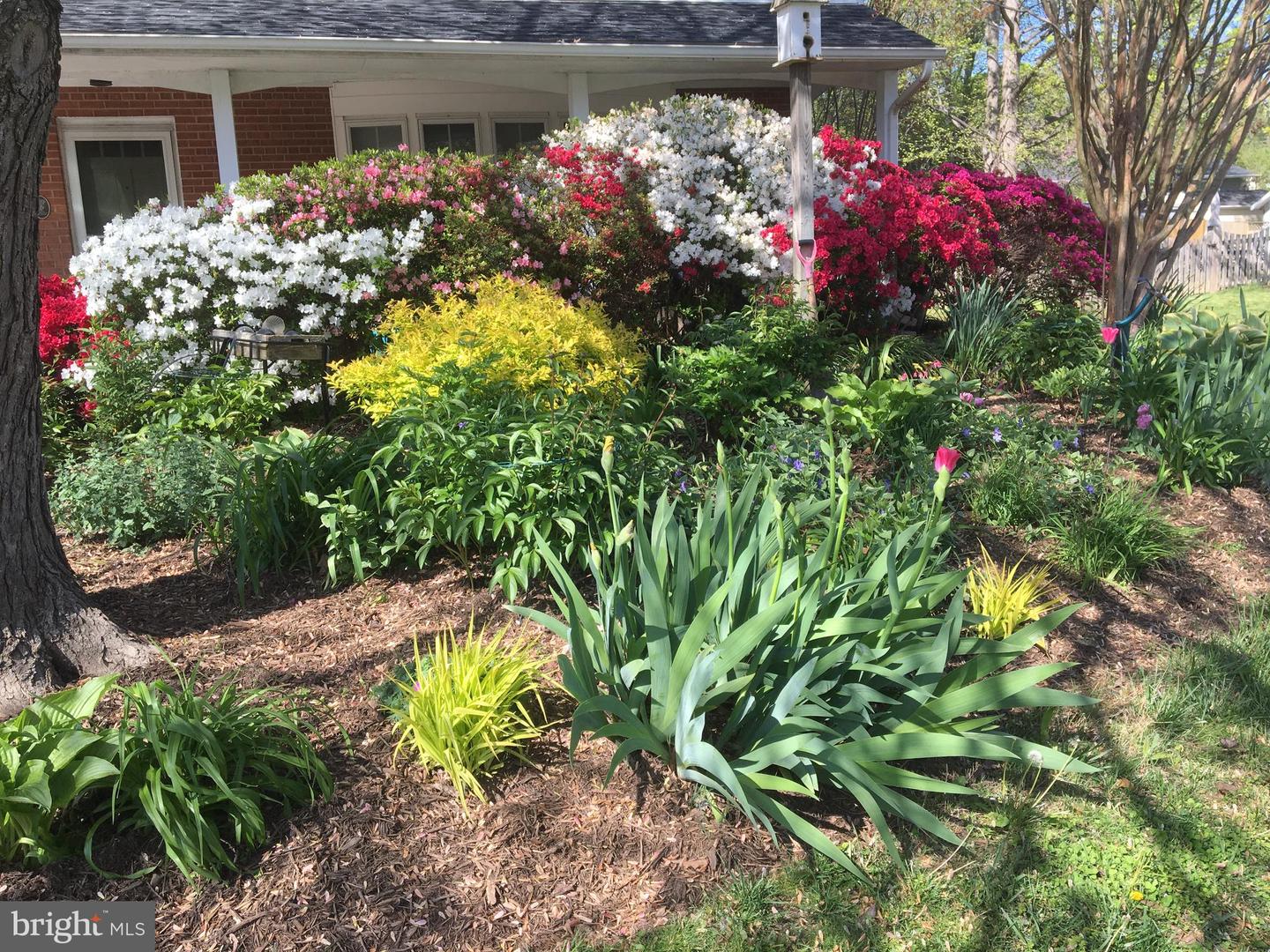 2412 CAVENDISH DR, ALEXANDRIA, Virginia 22308, 3 Bedrooms Bedrooms, ,2 BathroomsBathrooms,Residential,For sale,2412 CAVENDISH DR,VAFX2283444 MLS # VAFX2283444