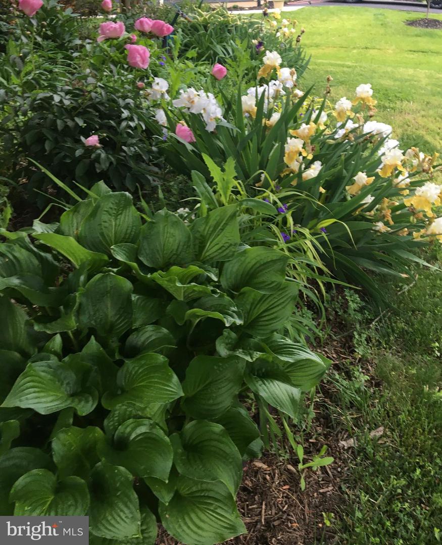 2412 CAVENDISH DR, ALEXANDRIA, Virginia 22308, 3 Bedrooms Bedrooms, ,2 BathroomsBathrooms,Residential,For sale,2412 CAVENDISH DR,VAFX2283444 MLS # VAFX2283444