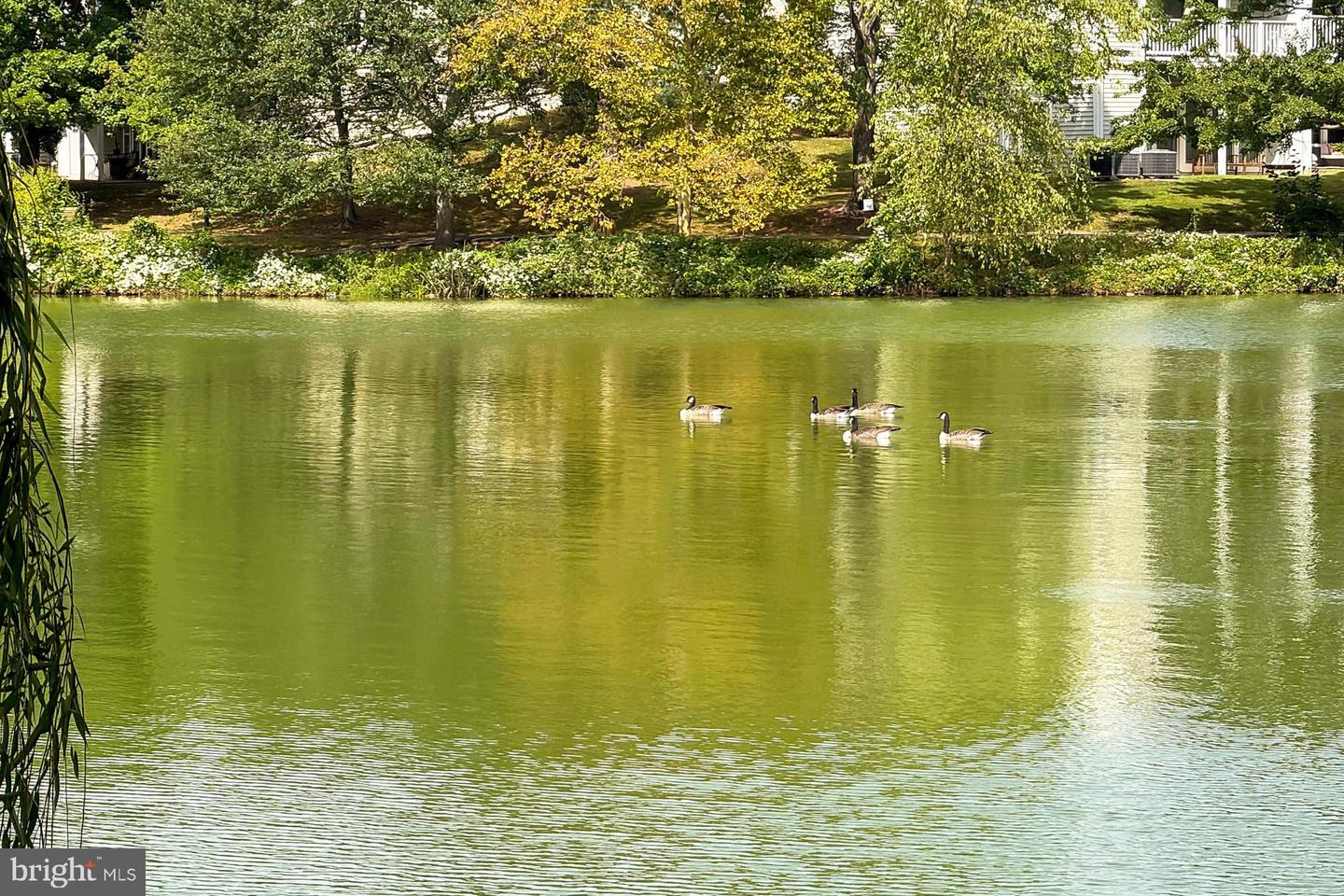 2938 BRIDGEHAMPTON CT, FALLS CHURCH, Virginia 22042, 3 Bedrooms Bedrooms, ,2 BathroomsBathrooms,Residential,For sale,2938 BRIDGEHAMPTON CT,VAFX2286166 MLS # VAFX2286166