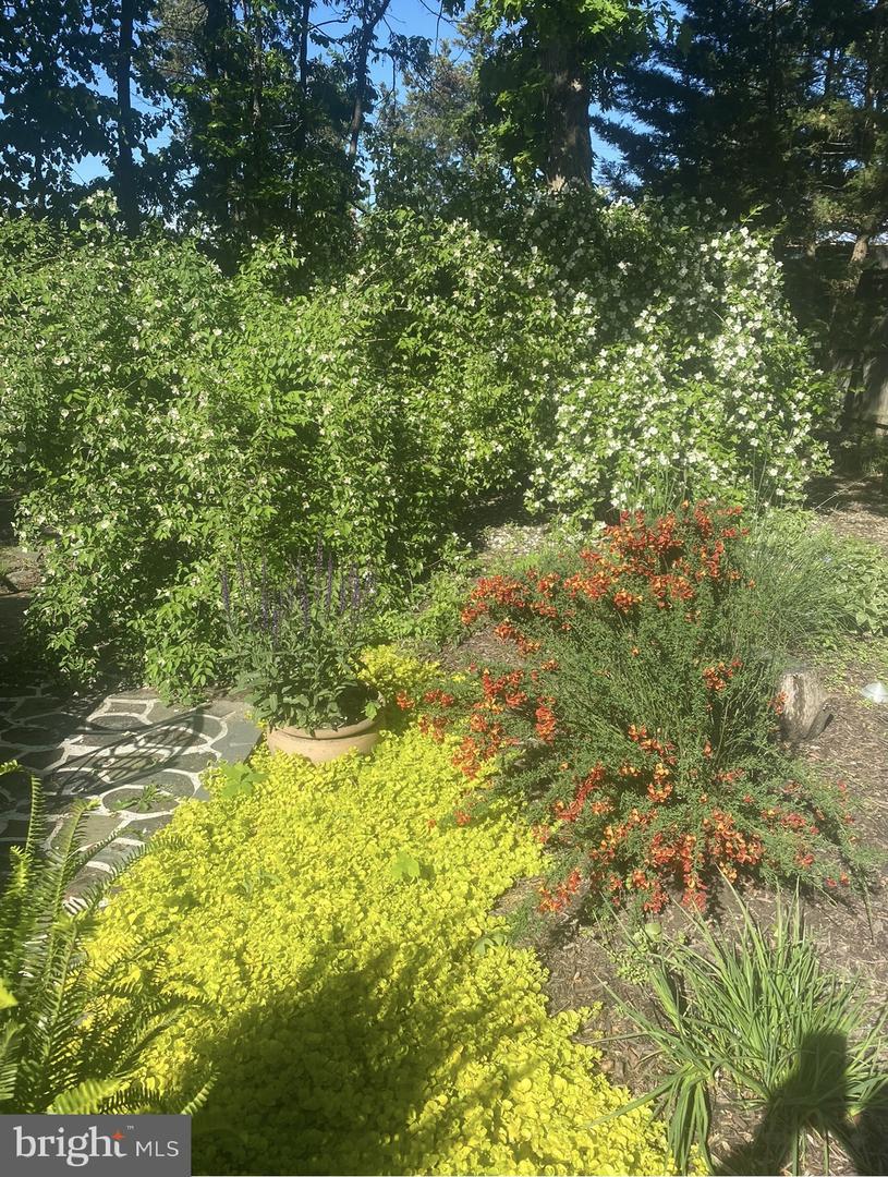 6102 SHERBORN LN, SPRINGFIELD, Virginia 22152, 4 Bedrooms Bedrooms, ,2 BathroomsBathrooms,Residential,For sale,6102 SHERBORN LN,VAFX2286840 MLS # VAFX2286840