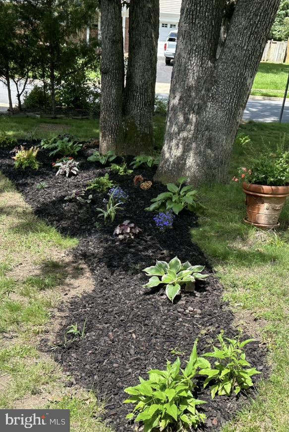 6102 SHERBORN LN, SPRINGFIELD, Virginia 22152, 4 Bedrooms Bedrooms, ,2 BathroomsBathrooms,Residential,For sale,6102 SHERBORN LN,VAFX2286840 MLS # VAFX2286840