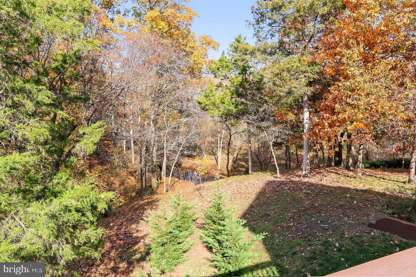 21027 FOREST HIGHLANDS CT, ASHBURN, Virginia 20147, 5 Bedrooms Bedrooms, ,4 BathroomsBathrooms,Residential,For sale,21027 FOREST HIGHLANDS CT,VALO2114756 MLS # VALO2114756