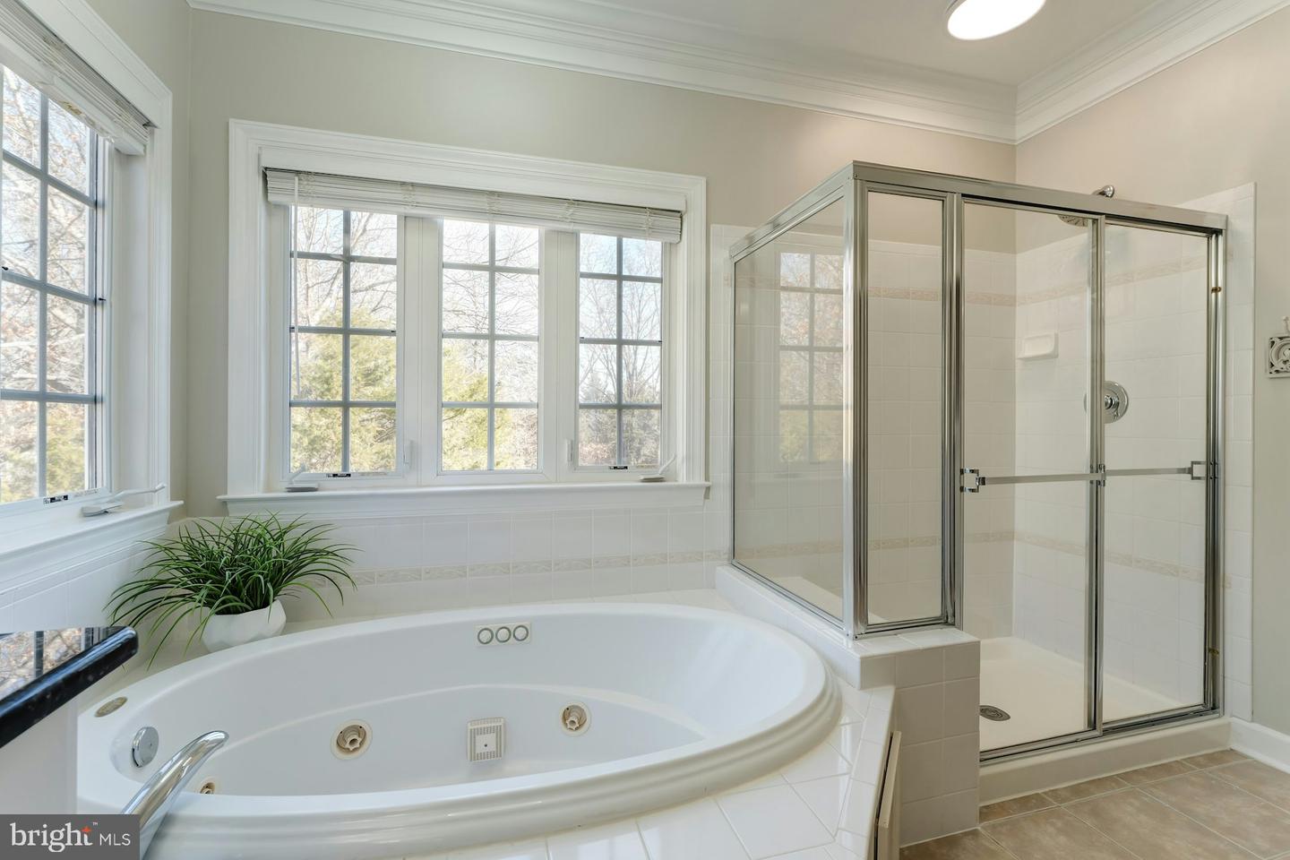 22134 QUAIL POND PL, ASHBURN, Virginia 20148, 4 Bedrooms Bedrooms, ,4 BathroomsBathrooms,Residential,For sale,22134 QUAIL POND PL,VALO2114808 MLS # VALO2114808