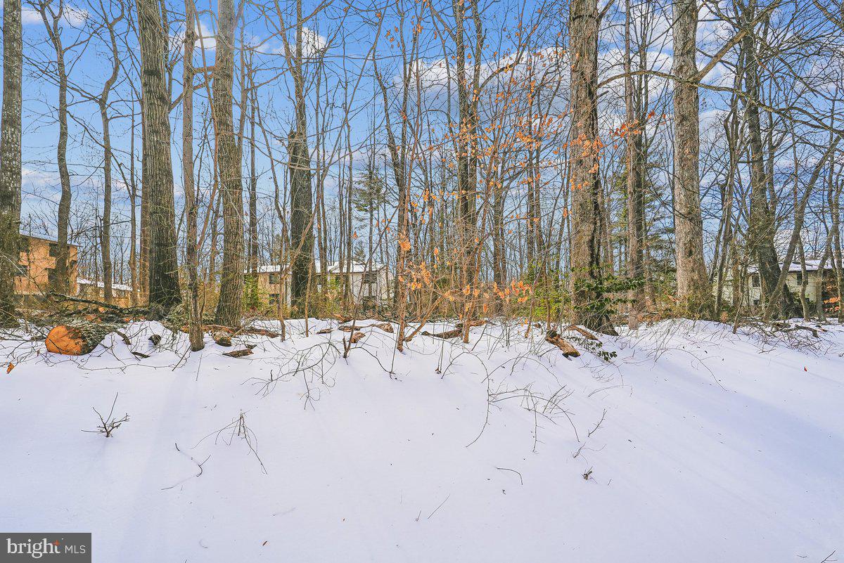 2315 EMERALD HEIGHTS CT, RESTON, Virginia 20191, 3 Bedrooms Bedrooms, ,2 BathroomsBathrooms,Residential,For sale,2315 EMERALD HEIGHTS CT,VAFX2288080 MLS # VAFX2288080