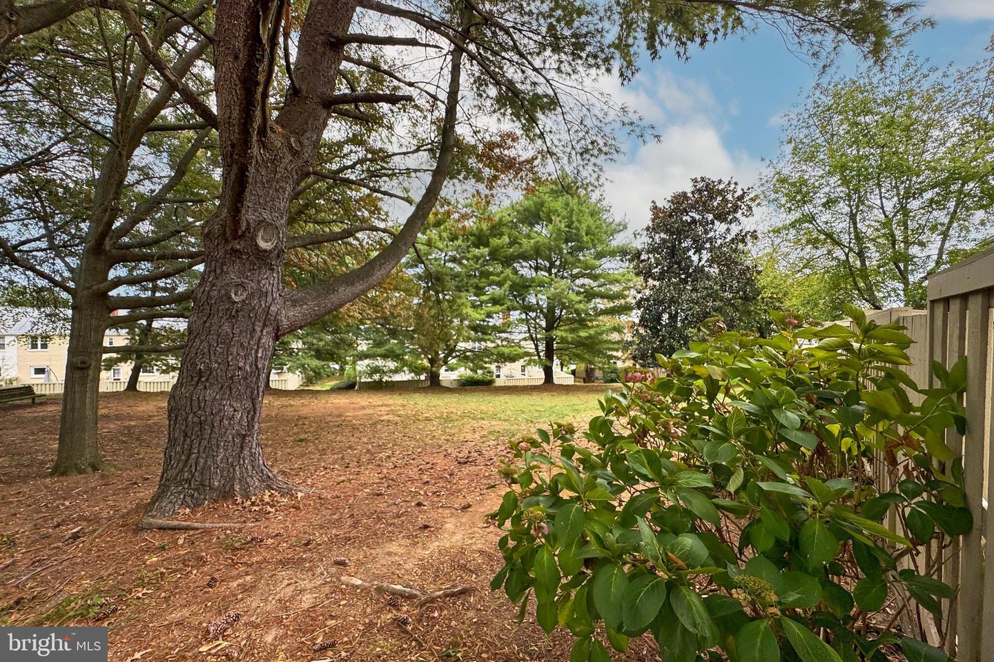 3827 KELLER AVE, ALEXANDRIA, Virginia 22302, 2 Bedrooms Bedrooms, 6 Rooms Rooms,1 BathroomBathrooms,Residential,For sale,3827 KELLER AVE,VAAX2053648 MLS # VAAX2053648