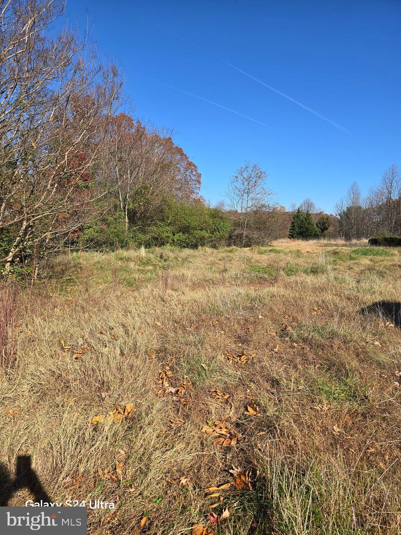 1715 WILLIAM ST, FREDERICKSBURG, Virginia 22401, ,Land,For sale,1715 WILLIAM ST,VAFB2009290 MLS # VAFB2009290