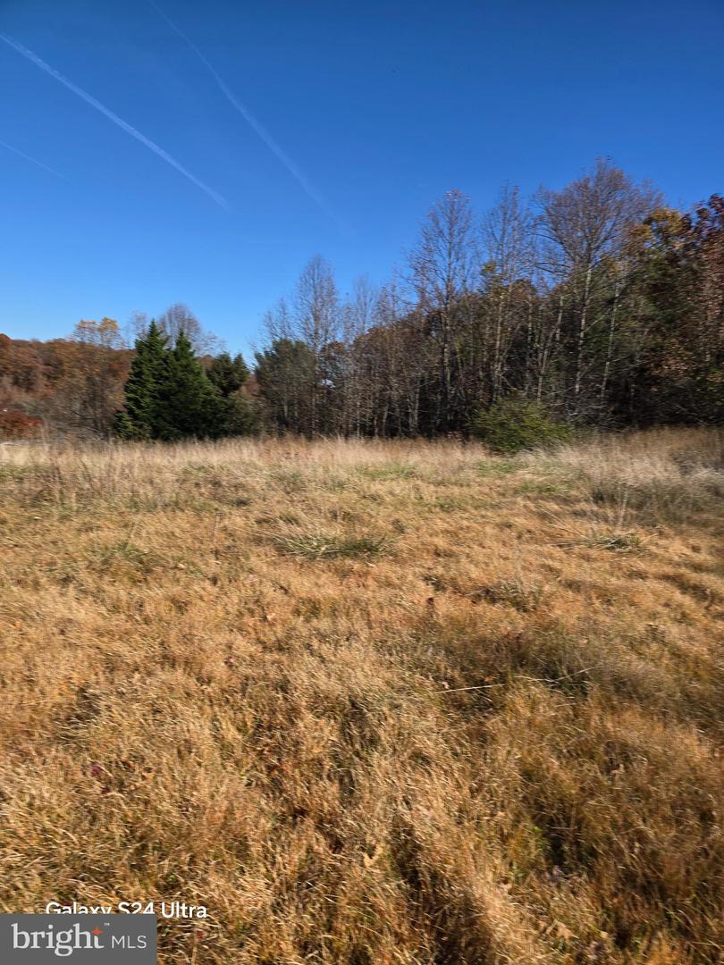1715 WILLIAM ST, FREDERICKSBURG, Virginia 22401, ,Land,For sale,1715 WILLIAM ST,VAFB2009290 MLS # VAFB2009290