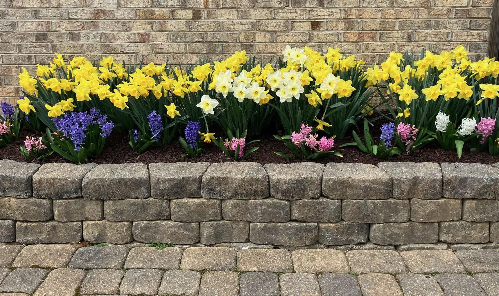 419 WYNDHAM HILL DR, FISHERSVILLE, Virginia 22939, 4 Bedrooms Bedrooms, ,2 BathroomsBathrooms,Residential,419 WYNDHAM HILL DR,673180 MLS # 673180