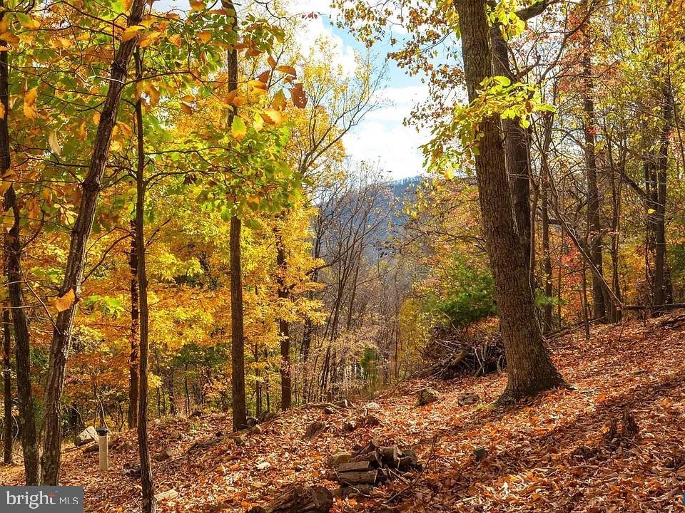 LOT 42 TREEHOUSE PL, NELLYSFORD, Virginia 22958, ,Land,For sale,LOT 42 TREEHOUSE PL,VANL2000630 MLS # VANL2000630 LOT 42 TREEHOUSE PL, NELLYSFORD, Virginia 22958, ,Land,For sale,LOT 42 TREEHOUSE PL,VANL2000630 MLS # VANL2000630