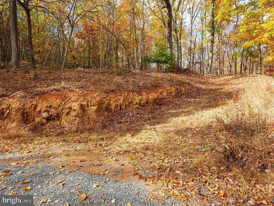 LOT 42 TREEHOUSE PL, NELLYSFORD, Virginia 22958, ,Land,For sale,LOT 42 TREEHOUSE PL,VANL2000630 MLS # VANL2000630 LOT 42 TREEHOUSE PL, NELLYSFORD, Virginia 22958, ,Land,For sale,LOT 42 TREEHOUSE PL,VANL2000630 MLS # VANL2000630