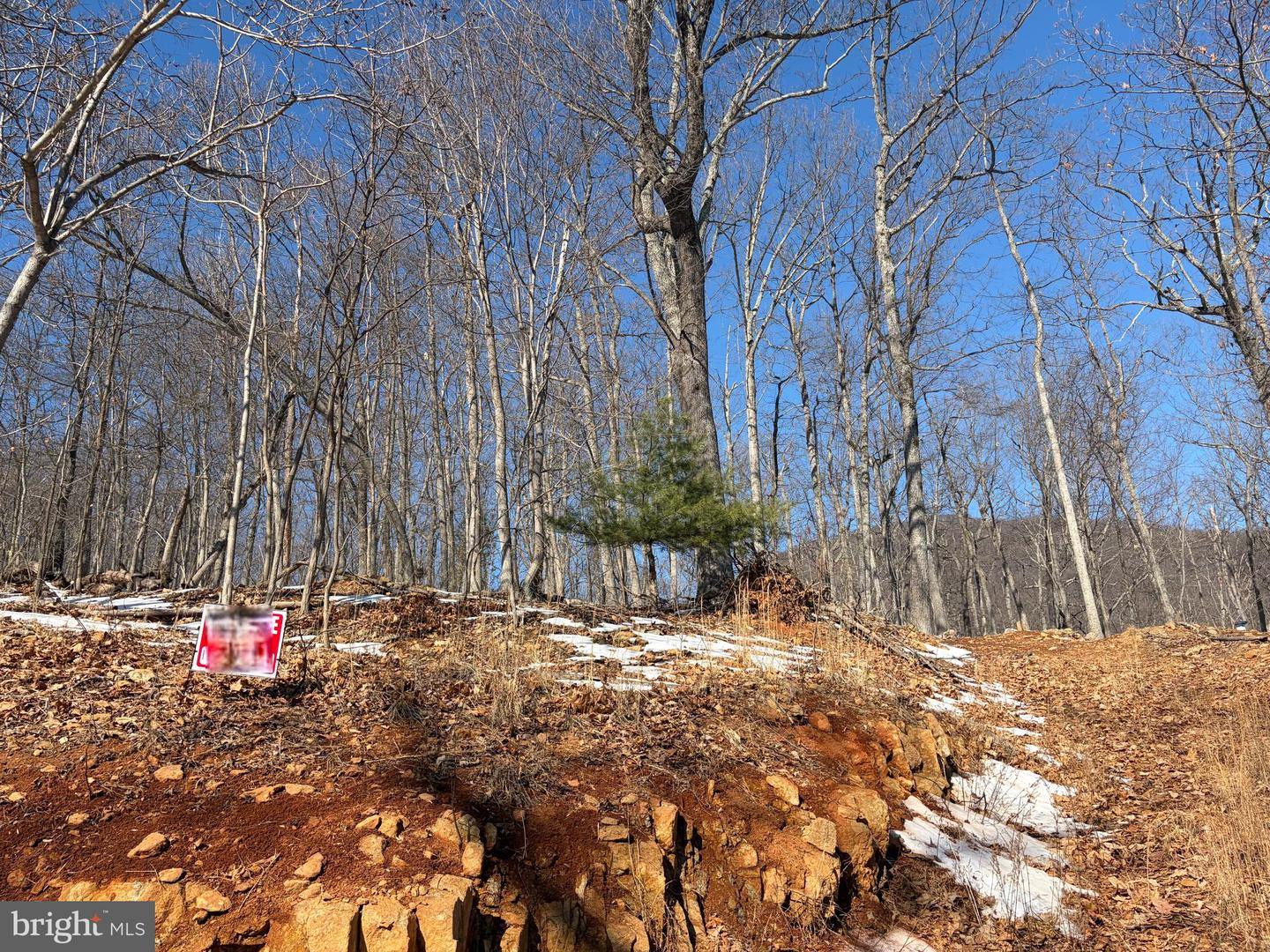 LOT 42 TREEHOUSE PL, NELLYSFORD, Virginia 22958, ,Land,For sale,LOT 42 TREEHOUSE PL,VANL2000630 MLS # VANL2000630