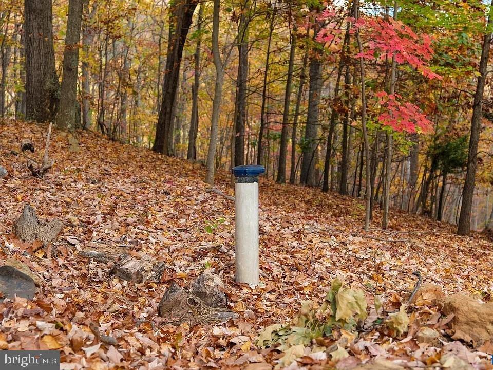 LOT 42 TREEHOUSE PL, NELLYSFORD, Virginia 22958, ,Land,For sale,LOT 42 TREEHOUSE PL,VANL2000630 MLS # VANL2000630 LOT 42 TREEHOUSE PL, NELLYSFORD, Virginia 22958, ,Land,For sale,LOT 42 TREEHOUSE PL,VANL2000630 MLS # VANL2000630