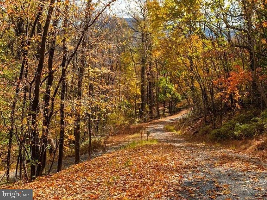 LOT 42 TREEHOUSE PL, NELLYSFORD, Virginia 22958, ,Land,For sale,LOT 42 TREEHOUSE PL,VANL2000630 MLS # VANL2000630 LOT 42 TREEHOUSE PL, NELLYSFORD, Virginia 22958, ,Land,For sale,LOT 42 TREEHOUSE PL,VANL2000630 MLS # VANL2000630