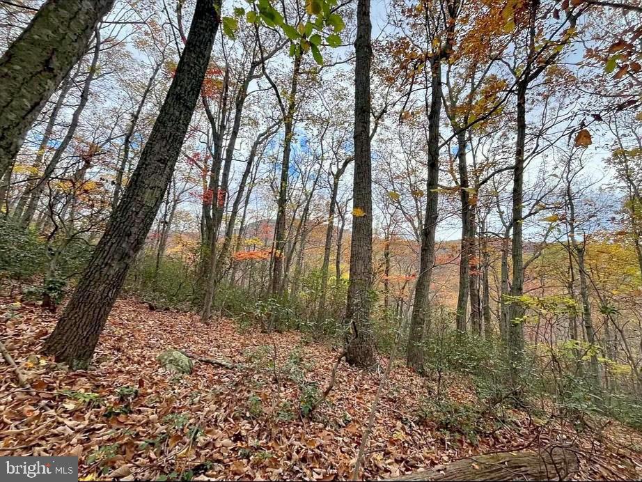 LOT 42 TREEHOUSE PL, NELLYSFORD, Virginia 22958, ,Land,For sale,LOT 42 TREEHOUSE PL,VANL2000630 MLS # VANL2000630 LOT 42 TREEHOUSE PL, NELLYSFORD, Virginia 22958, ,Land,For sale,LOT 42 TREEHOUSE PL,VANL2000630 MLS # VANL2000630