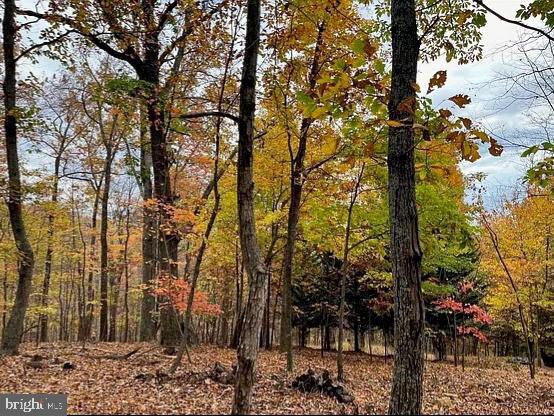 LOT 42 TREEHOUSE PL, NELLYSFORD, Virginia 22958, ,Land,For sale,LOT 42 TREEHOUSE PL,VANL2000630 MLS # VANL2000630 LOT 42 TREEHOUSE PL, NELLYSFORD, Virginia 22958, ,Land,For sale,LOT 42 TREEHOUSE PL,VANL2000630 MLS # VANL2000630