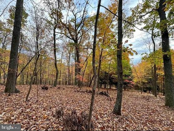 LOT 42 TREEHOUSE PL, NELLYSFORD, Virginia 22958, ,Land,For sale,LOT 42 TREEHOUSE PL,VANL2000630 MLS # VANL2000630 LOT 42 TREEHOUSE PL, NELLYSFORD, Virginia 22958, ,Land,For sale,LOT 42 TREEHOUSE PL,VANL2000630 MLS # VANL2000630