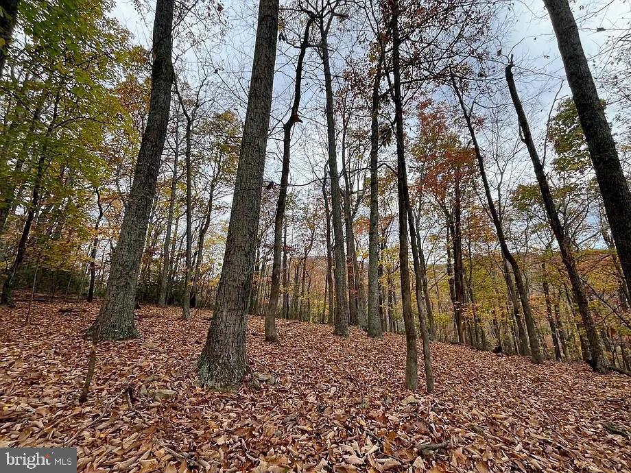 LOT 42 TREEHOUSE PL, NELLYSFORD, Virginia 22958, ,Land,For sale,LOT 42 TREEHOUSE PL,VANL2000630 MLS # VANL2000630 LOT 42 TREEHOUSE PL, NELLYSFORD, Virginia 22958, ,Land,For sale,LOT 42 TREEHOUSE PL,VANL2000630 MLS # VANL2000630