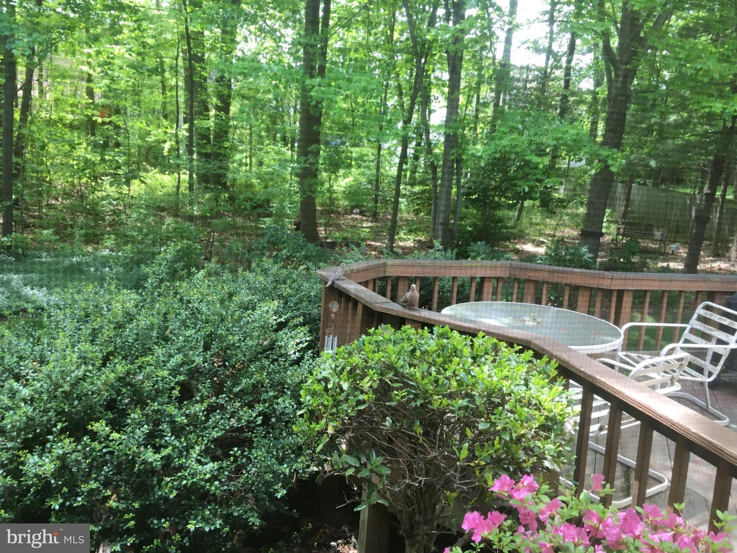 4634 STAR FLOWER DR, CHANTILLY, Virginia 20151, 4 Bedrooms Bedrooms, ,2 BathroomsBathrooms,Residential,For sale,4634 STAR FLOWER DR,VAFX2289820 MLS # VAFX2289820