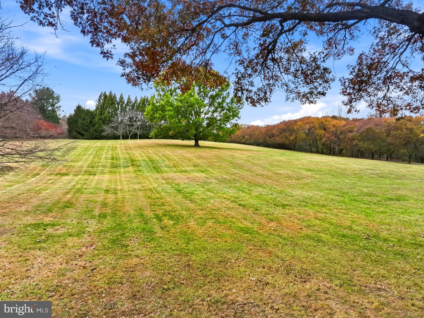 9324 GEORGETOWN PIKE, GREAT FALLS, Virginia 22066, 6 Bedrooms Bedrooms, ,7 BathroomsBathrooms,Residential,For sale,9324 GEORGETOWN PIKE,VAFX2290088 MLS # VAFX2290088 9324 GEORGETOWN PIKE, GREAT FALLS, Virginia 22066, 6 Bedrooms Bedrooms, ,7 BathroomsBathrooms,Residential,For sale,9324 GEORGETOWN PIKE,VAFX2290088 MLS # VAFX2290088