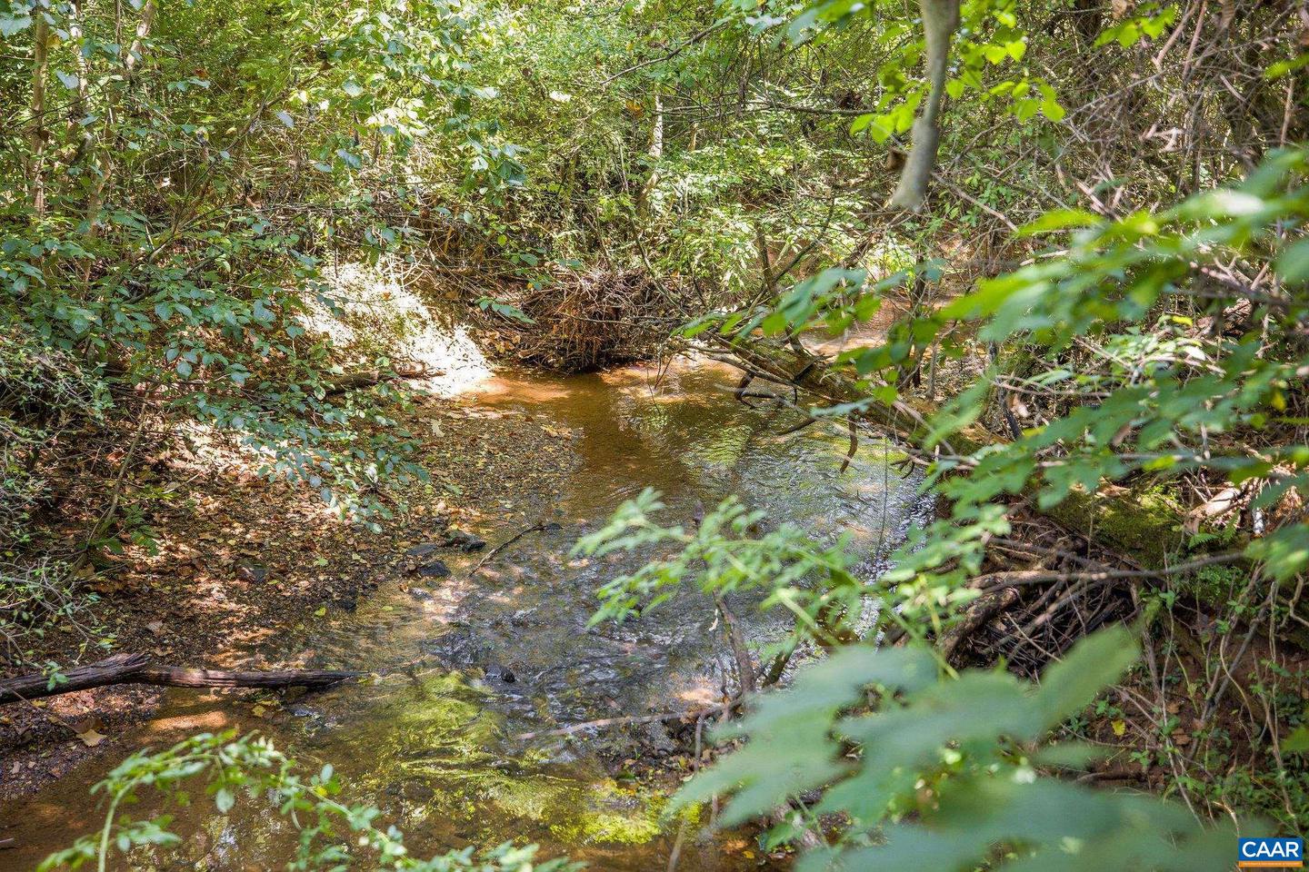 3132 WYNOVA LN, ESMONT, Virginia 22937, 4 Bedrooms Bedrooms, ,2 BathroomsBathrooms,Residential,For sale,3132 WYNOVA LN,668242 MLS # 668242