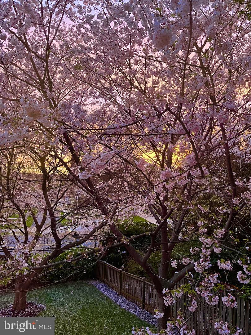 4452 Q ST NW, WASHINGTON, District Of Columbia 20007, 5 Bedrooms Bedrooms, ,2 BathroomsBathrooms,Residential,For sale,4452 Q ST NW,DCDC2232958 MLS # DCDC2232958